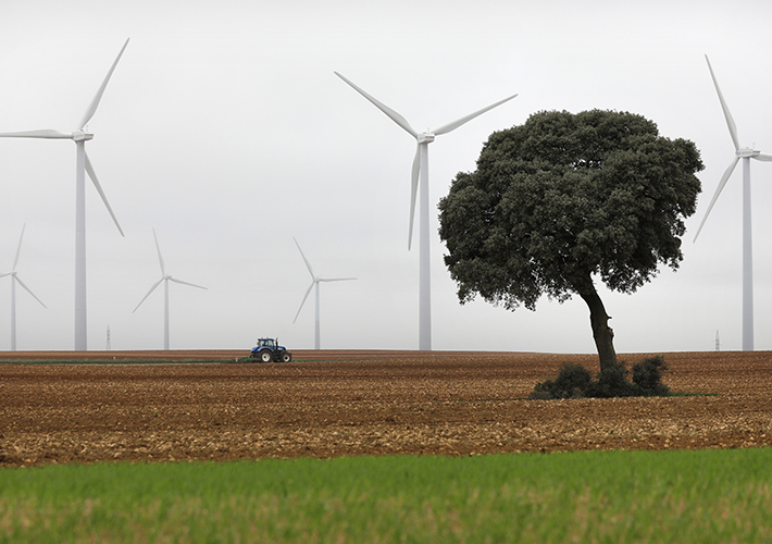 foto Iberdrola se propone convertir en 100% verdes los sectores agrícola y ganadero.